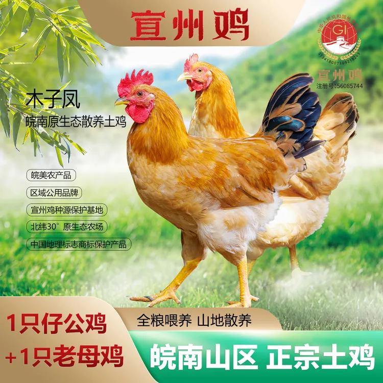 木子凤宣州鸡组合装（ 童子鸡+老母鸡）2只生态散养 新鲜 顺丰快递