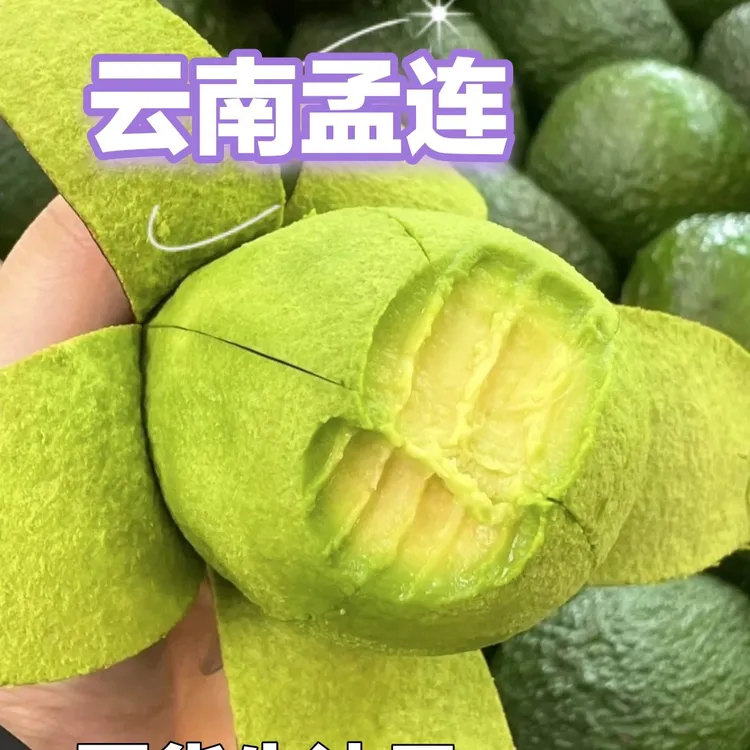 【勐玛山】云南孟连哈斯牛油果宝宝辅食代餐国产孟连牛油果鳄梨现摘