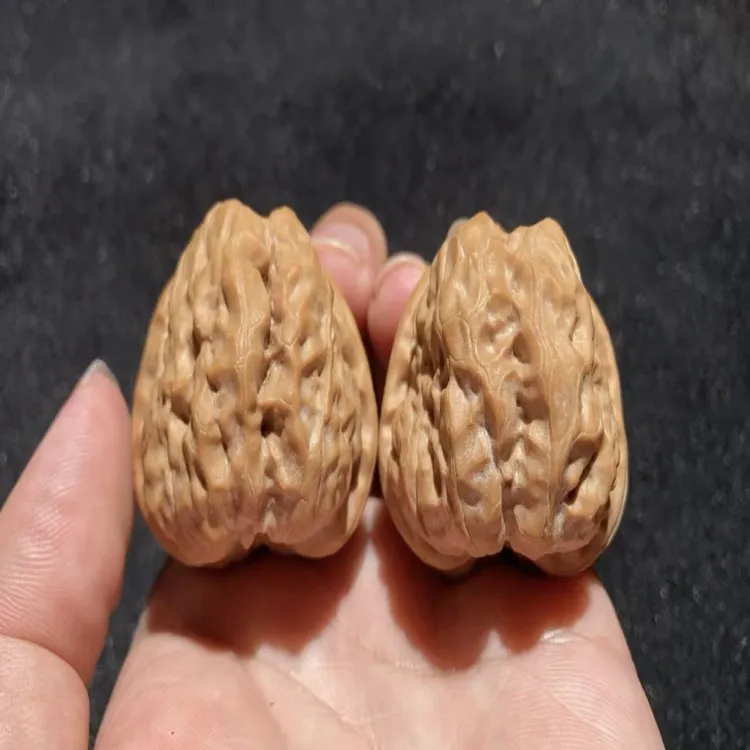 四开背金蟾蛤蟆头