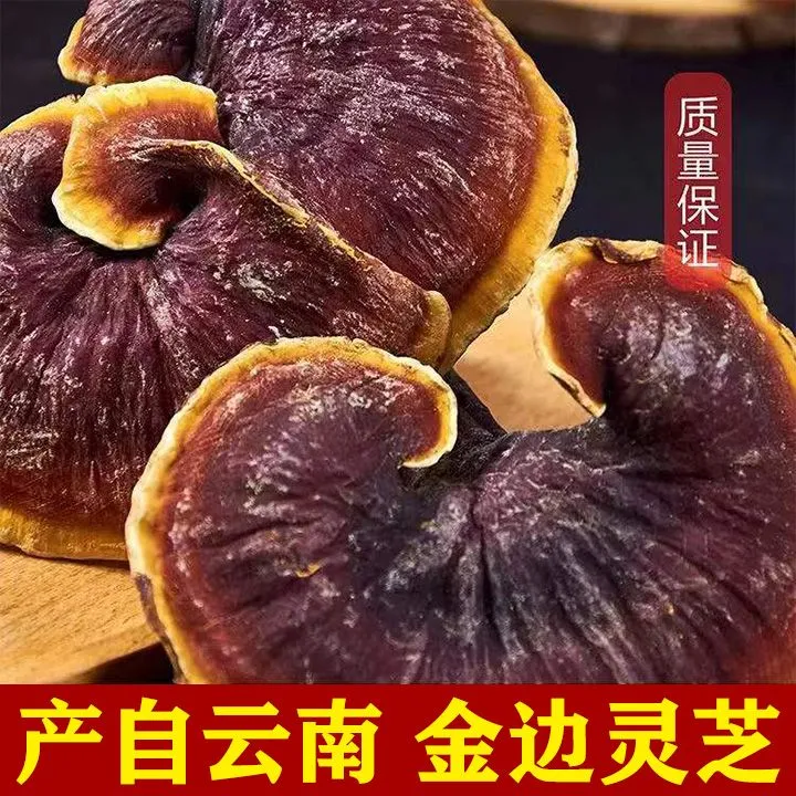 云南野生金边灵芝野生整朵紫灵芝天然林芝灵芝干货泡酒泡水食用
