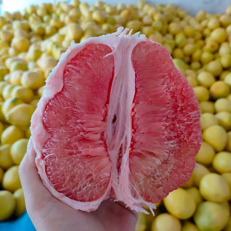 梅州红心蜜柚老树鲜果现摘现发皮薄鲜嫩多汁水份足甜蜜