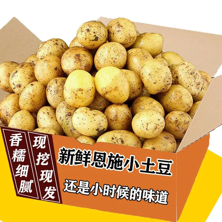 【恩施小土豆直发】新鲜正宗乒乓迷你硬币农家洋芋马铃薯蔬菜
