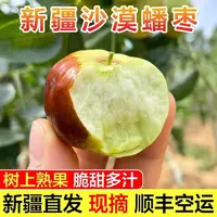 正宗新疆沙漠蟠枣净重3斤4斤-顺丰空运