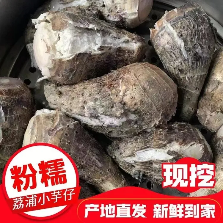 广西正宗小芋仔新鲜香芋现挖现发粉糯可口小芋头仔