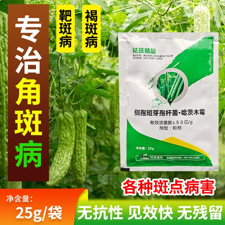 专治瓜类各种角斑病靶斑病褐斑病叶斑病黄叶病微生物菌剂厂家直销