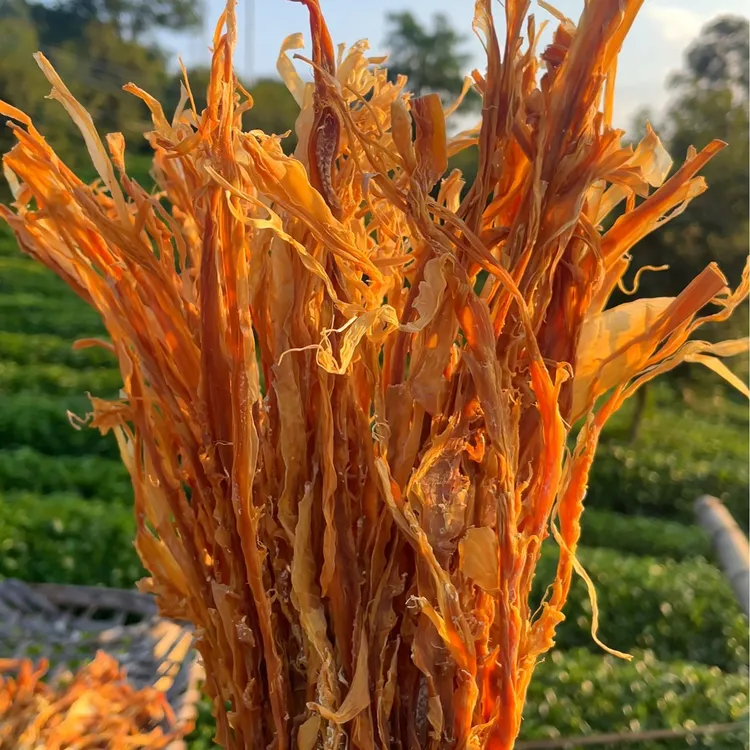 广东特产麻竹笋干农家无硫笋尖笋条干货农家竹笋干