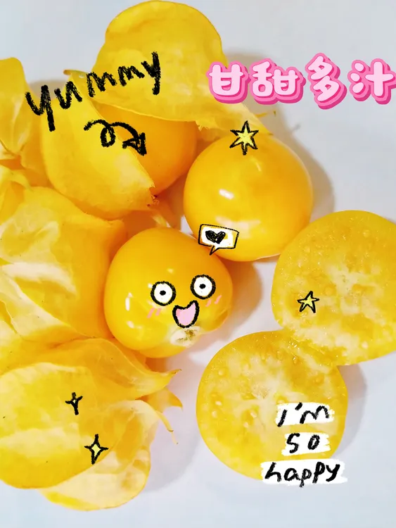 东北姑娘果当季新鲜水果顺丰包邮原汁原味灯笼果