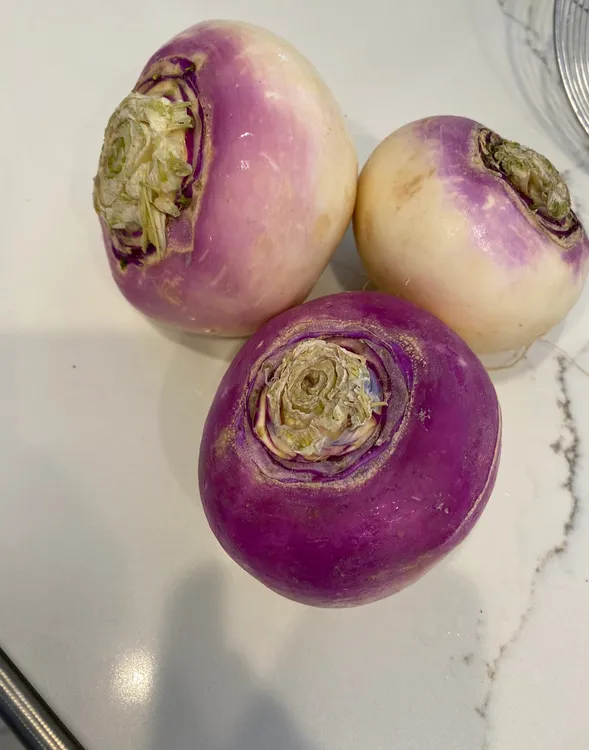 恰玛古2025新疆柯坪县阿恰勒乡紫皮恰玛古碱性蔬菜农户直销蔓箐  