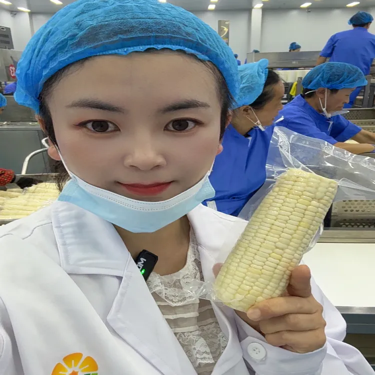 东北五常玉米 糯玉米真空包装 非转基因无添加 鲜食玉米8棒15棒