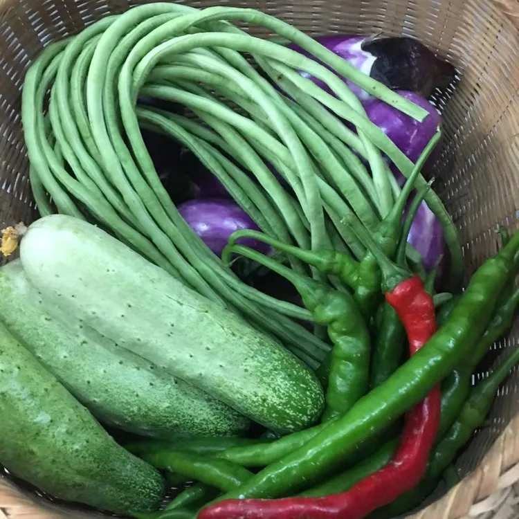 农家当季新鲜蔬菜拼装盲盒黄瓜苦瓜丝瓜豆角葫芦紫茄绿茄白茄子
