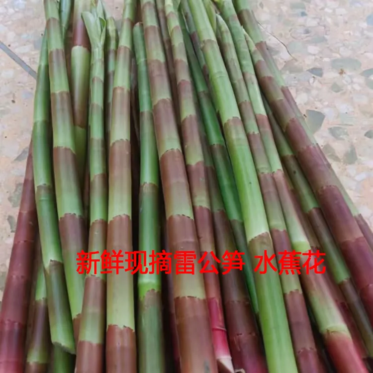 新鲜两广闭鞘姜雷公笋水蕉花嫩芽广商陆海南酸白石笋3斤/5斤包邮
