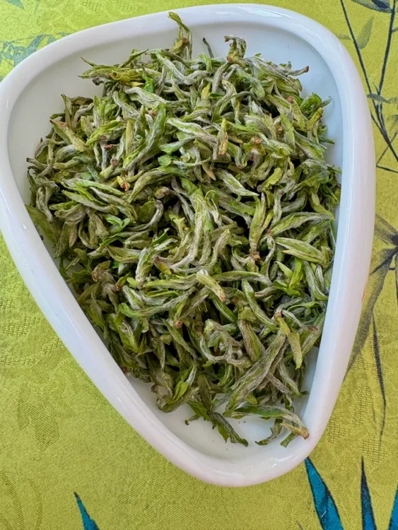 2025春茶连云港本地绿茶