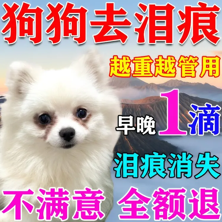 狗狗去泪痕神器狗狗清洁眼屎比熊雪纳瑞黄红胡子宠物专用滴眼液