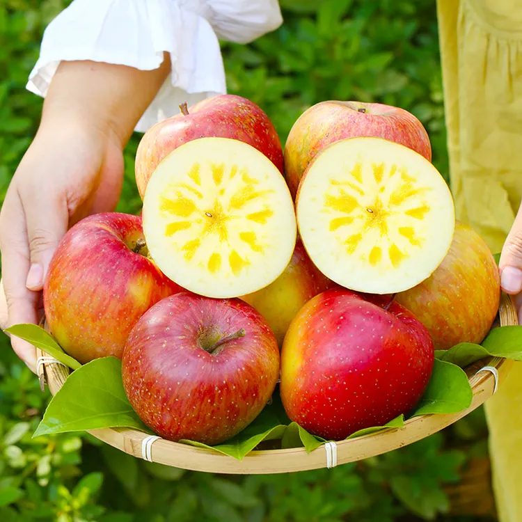 【正宗云南昭通丑苹果】冰糖心丑苹果新鲜应季脆甜水果原产地直发