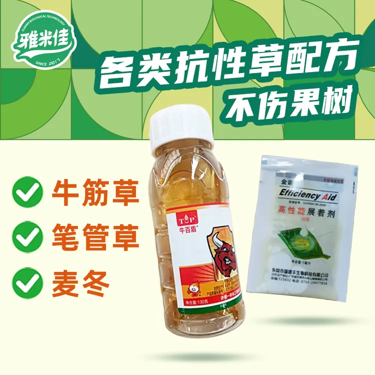 牛百盾抗性烂根牛筋草小飞蓬节节草笔管草果园除草剂香附子灭草