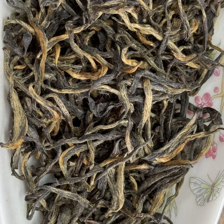 春茶武夷山红茶花果香梅占金骏眉可罐装可小泡高性价比口粮茶