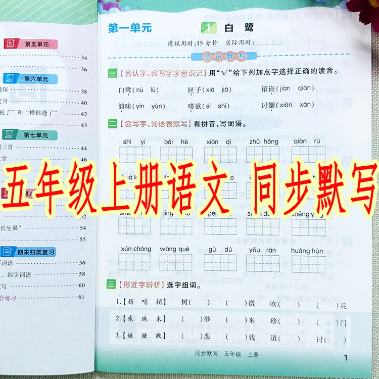 五年级上册语文同步默写人教部编版看拼音写词语字词句子课文默写