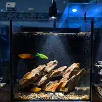 6.微景观造景背滤鱼缸20x15x20[鱼缸+三色射灯+水泵+滤材+造景]