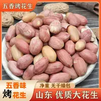 爆【到手2大包】五香花生米山东沂蒙山大花生五香蒜香奶香多味花生