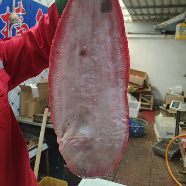 本地新鲜大塔米鱼肉质厚嫩鲜美顺丰速达