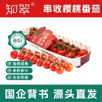 【知翠】串收樱桃番茄应季水果西红柿非千禧圣女果