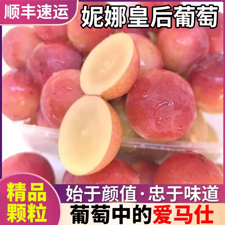 S1【顺丰速运】妮娜皇后葡萄无籽红宝石新鲜红提精品颗粒果5盒-10盒