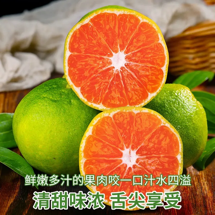 宜昌青皮蜜桔现摘现发新鲜无籽酸甜爽口当季水果皮薄肉多一口爆汁