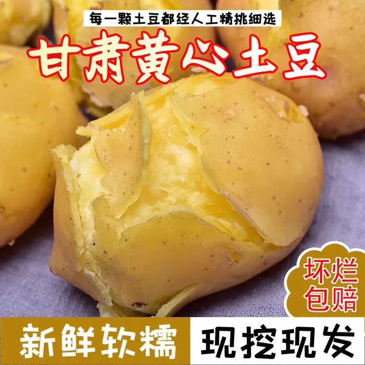正宗甘肃定西黄心沙面马铃薯农产品正宗批发土豆洋芋直播间气泡