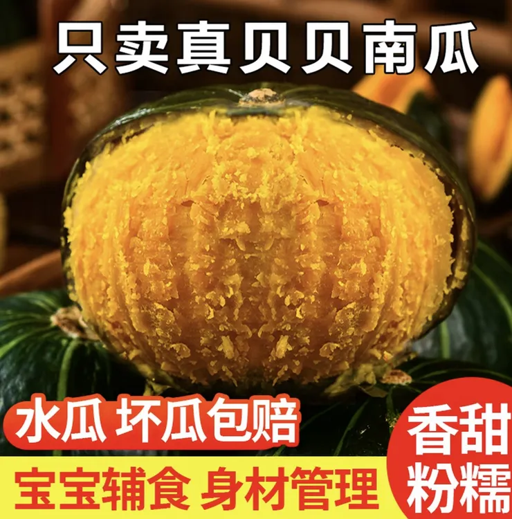农家肥内蒙古沙漠贝贝南瓜露天种植粉糯香甜适合孕妇宝宝辅食