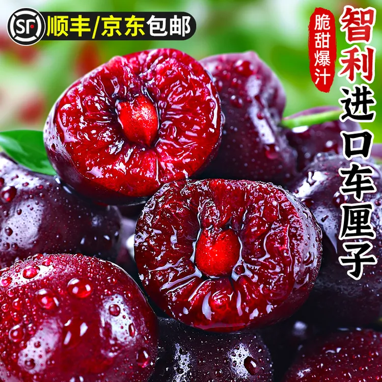 【现货速发】智利进口车厘子空运桑提娜礼盒J-4J新鲜水果内附果径卡