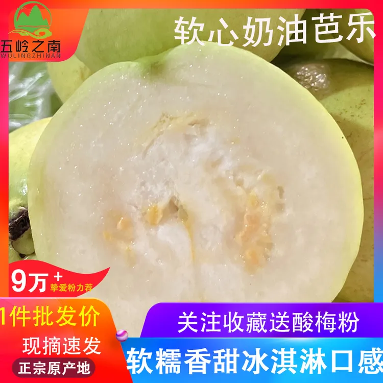 广西软糯软心奶油芭乐3斤5斤芭乐白心软心番石榴水果高山老树果