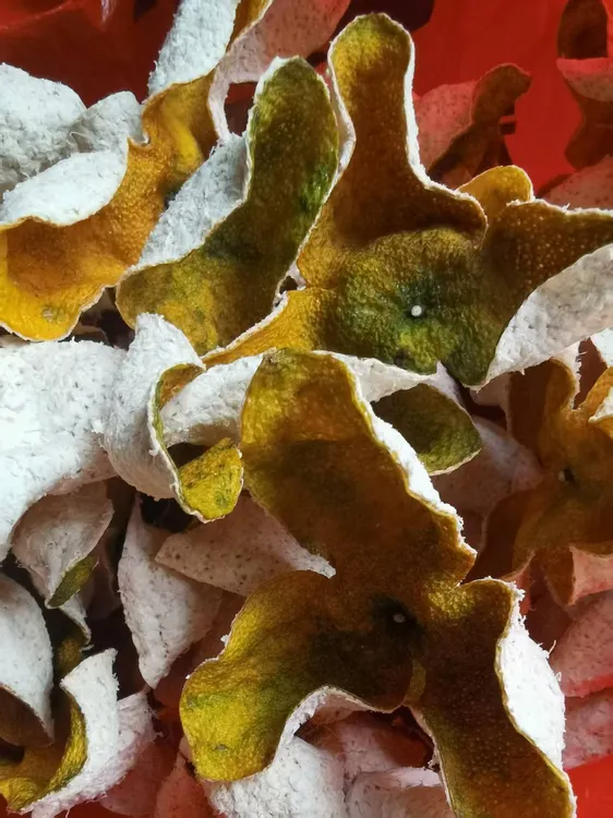 新会陈皮圈枝当年二红大红皮自然生晒干仓储存