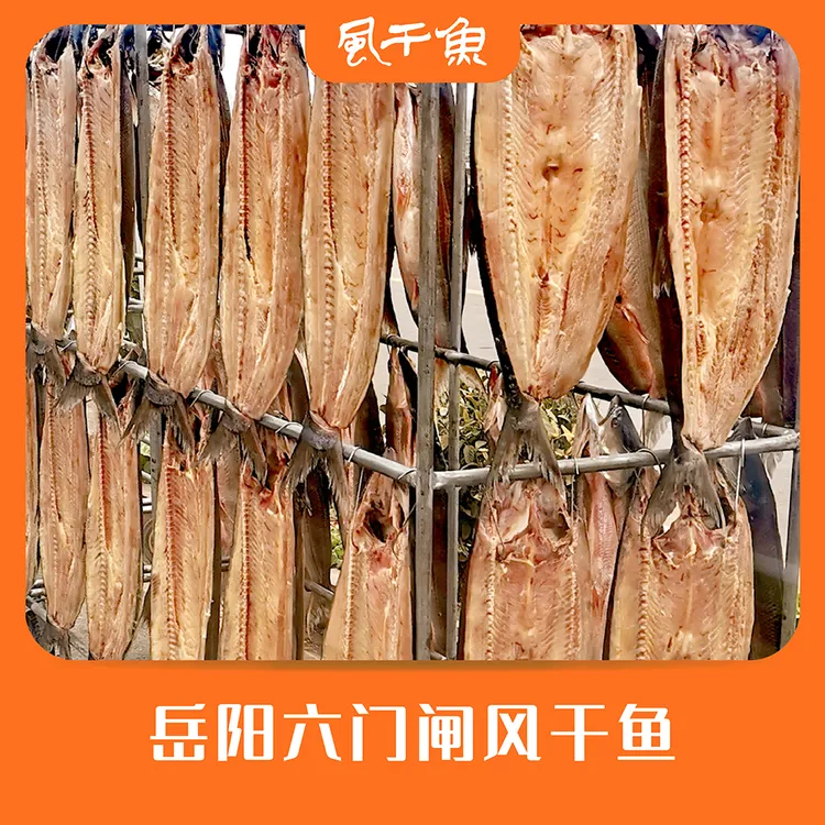 湖南岳阳君山洞庭钱粮湖六门闸风干鱼鳡鱼干整条腊鱼半干食用新晒
