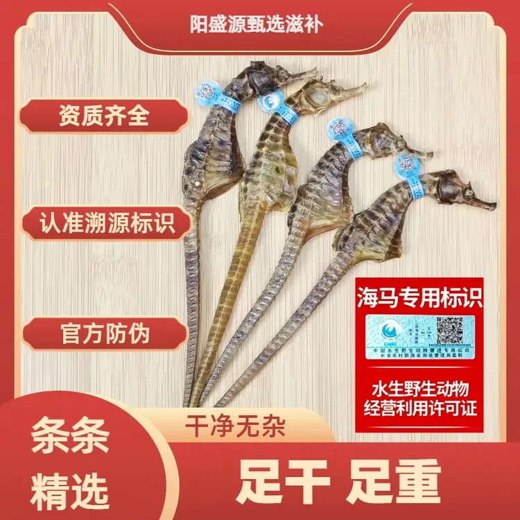 【溯源蓝标】正品蓝标海马泡酒专用足干足重海马煲汤泡酒