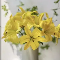 《黄色星球周长20/22cm》进口单瓣香水百合种球1颗