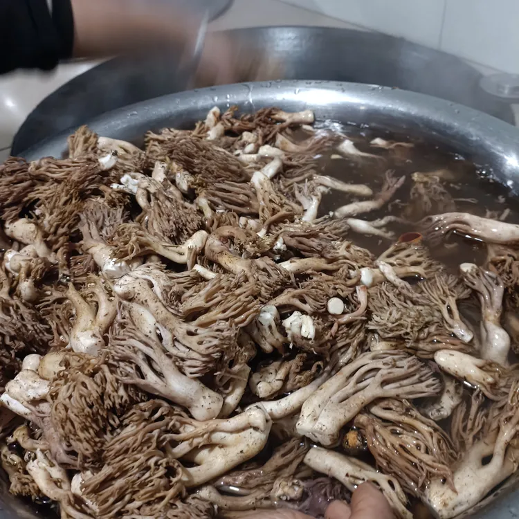 菌干货煲汤食材农家干菌菇类扫把菌
