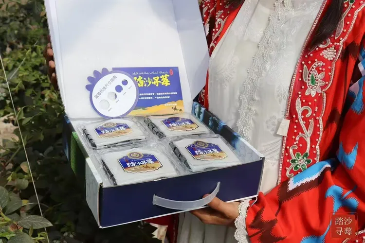 【顺丰空运】新疆喀什蓝莓踏沙寻莓香甜多汁果肉细腻当季新鲜水果