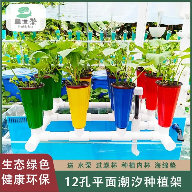 鱼菜一体蔬菜种植系统无土栽培循环设备适合阳台使用