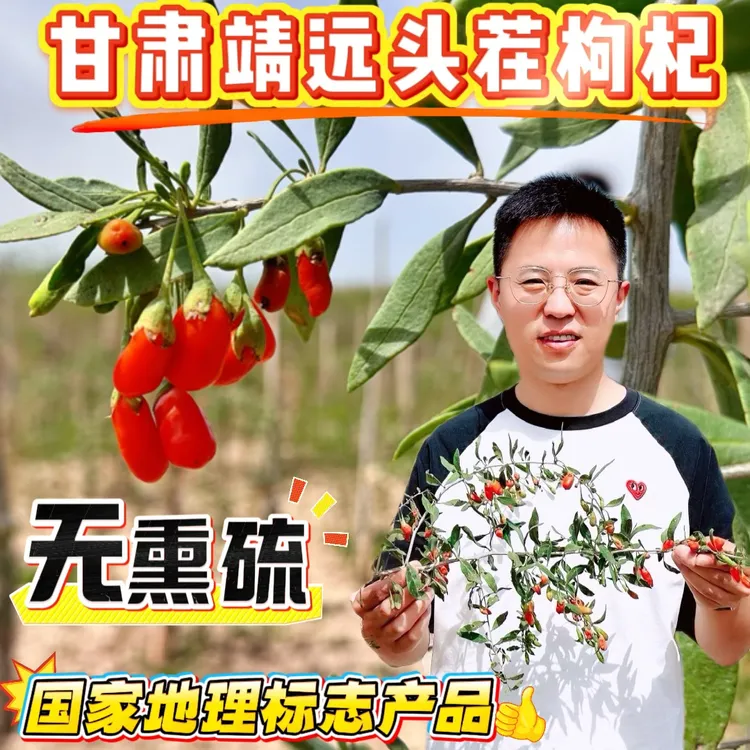 【年年自营】甘肃靖远精选头茬枸杞500g（无熏硫）