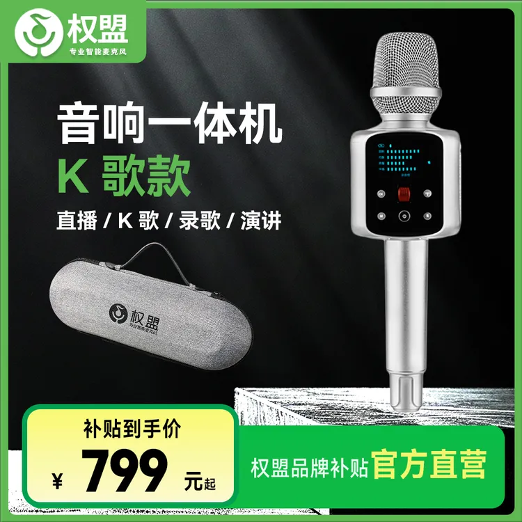 权盟麦克风无线手持蓝牙k歌降噪话筒音响一体机R2普通版直播声卡