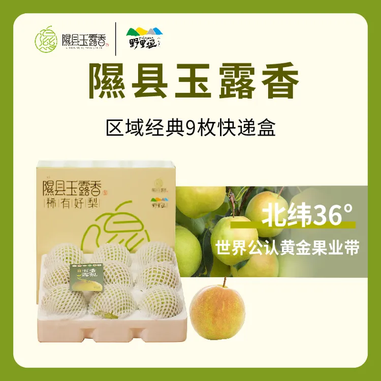 【顺丰】山西正宗隰县玉露香梨 5斤6颗装 绿色食品 皮薄脆甜多汁