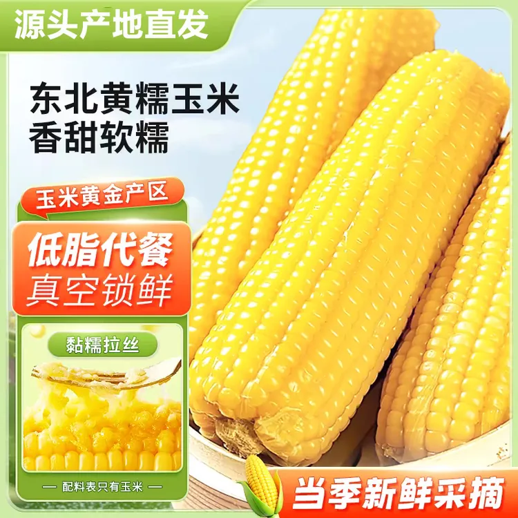 【试吃2棒整箱发12棒】东北黄糯玉米真空锁鲜产地直发轻食代餐