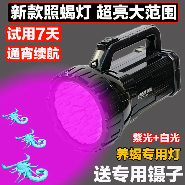 照蝎子灯专用强光超亮紫光蝎子灯手电头戴式蝎子灯可充电长续航