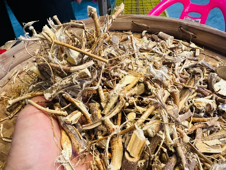 【不是野生包退】五指毛桃统货椰香味浓郁自然晒干煲汤好食材