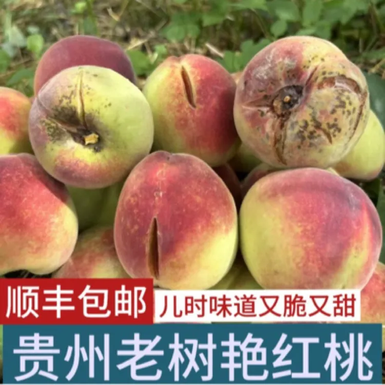 【顺丰包邮】贵州高山老树艳红桃土桃子毛桃子脆甜多汁儿时味道
