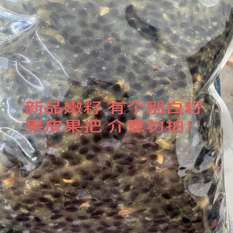 【活动链接】百香果嫩果籽（有个别果皮果把）