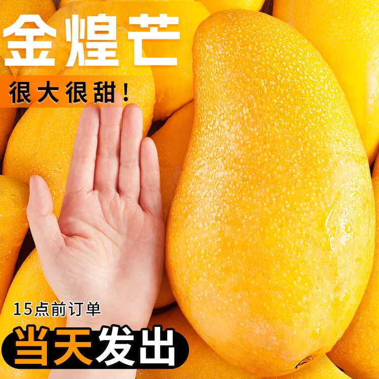 海南金煌芒斤芒果一级大果新鲜水果现摘青甜心黄皮水仙芒整箱