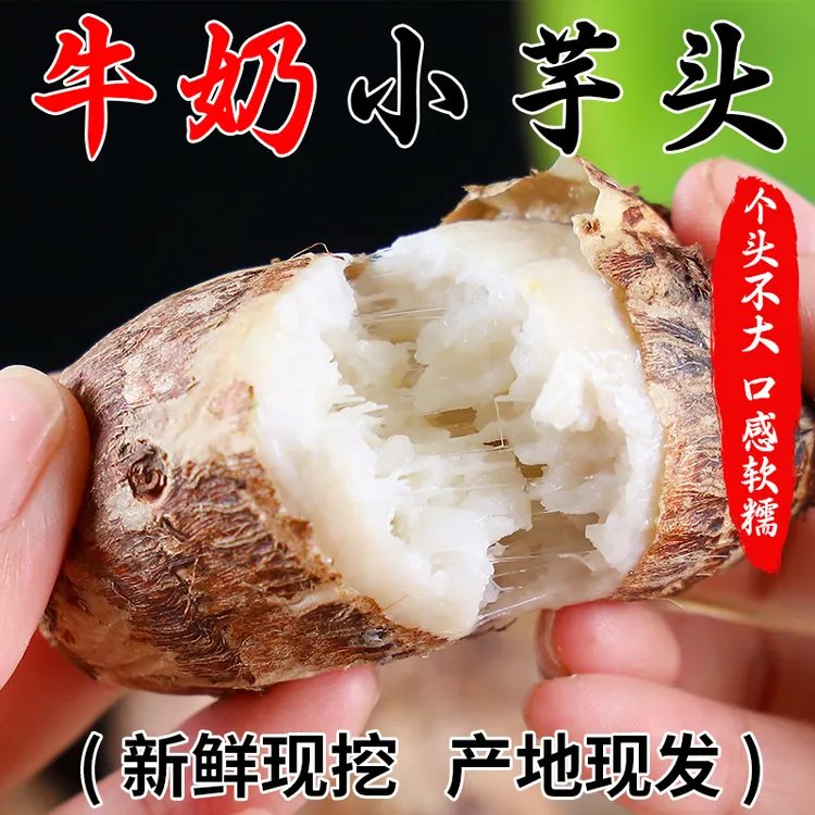 【低价秒杀】云南自种牛奶小芋头毛芋头软糯香甜香芋当季蔬菜芋艿