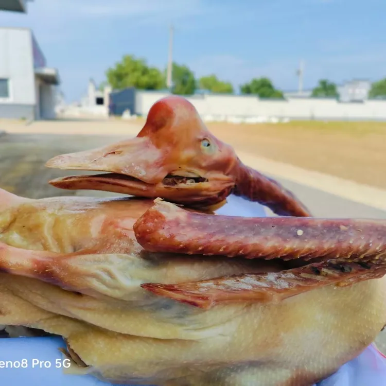 徐小妹正宗六安皖西白鹅散养300天老鹅手工腌制咸鹅腊鹅咸香味浓