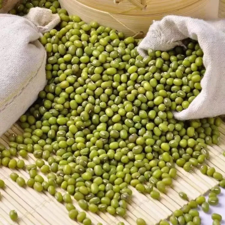 【一级货】东北农家种植绿豆五谷杂粮发豆芽熬粥原料另售白芸豆红豆